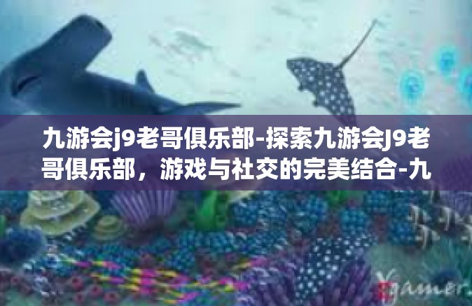 九游会j9老哥俱乐部-探索九游会J9老哥俱乐部，游戏与社交的完美结合-九游会j9老哥俱乐部